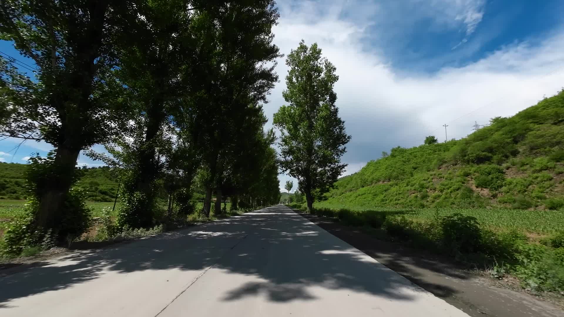 开车沿途风景视频的预览图