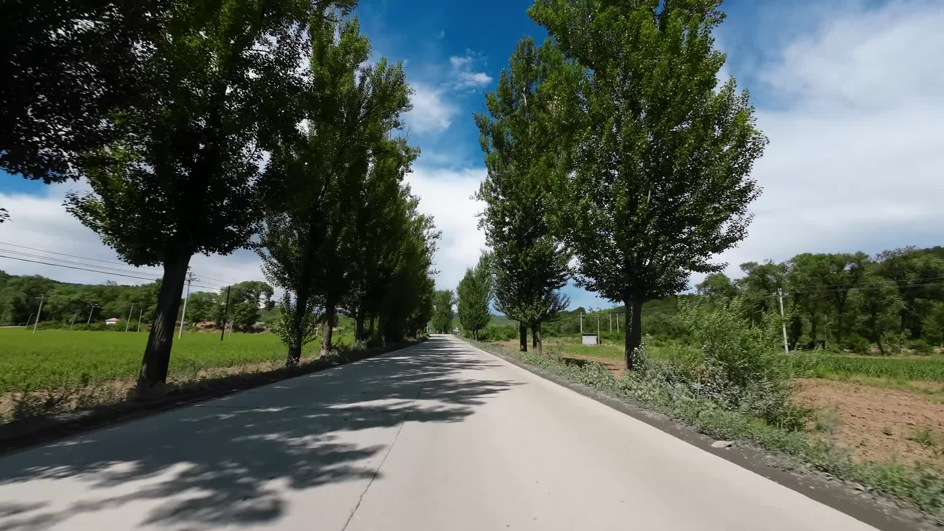 开车沿途风景视频的预览图