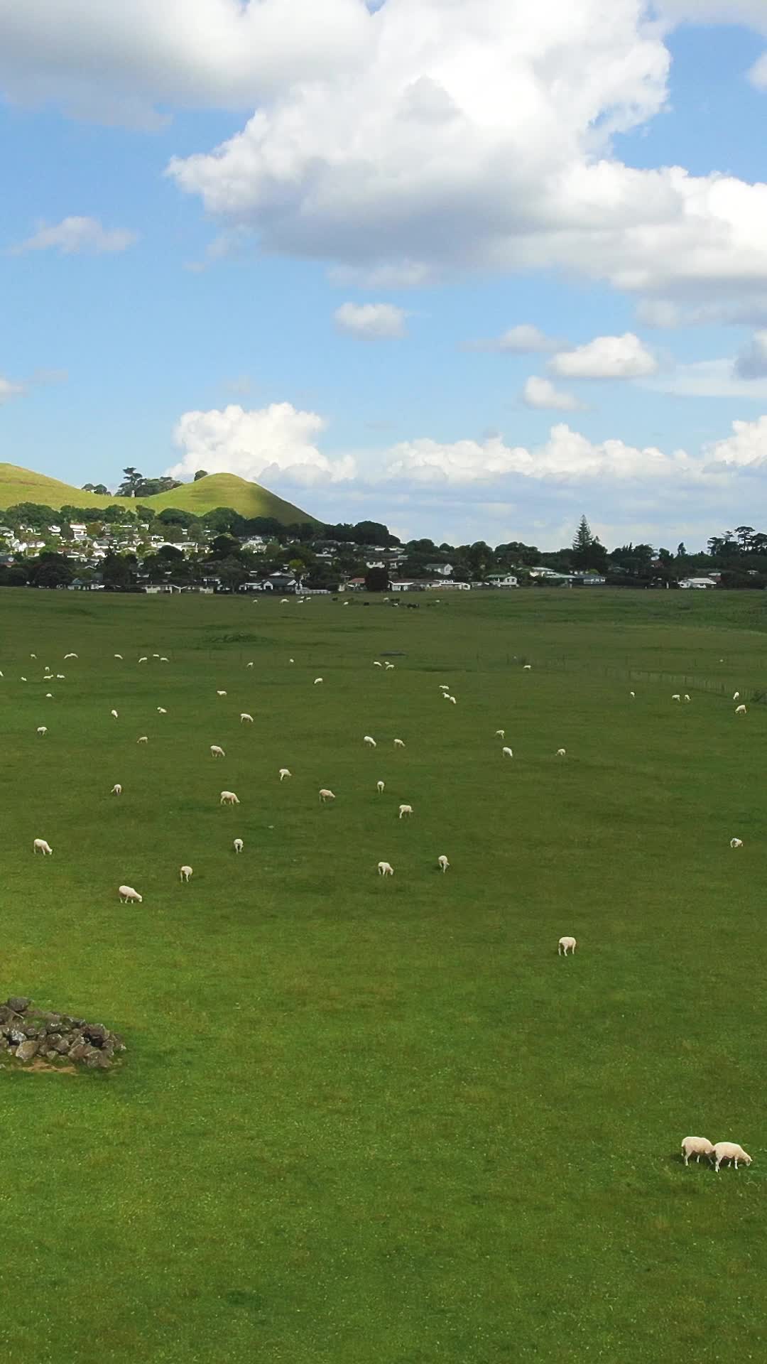 竖屏航拍新西兰风光视频的预览图