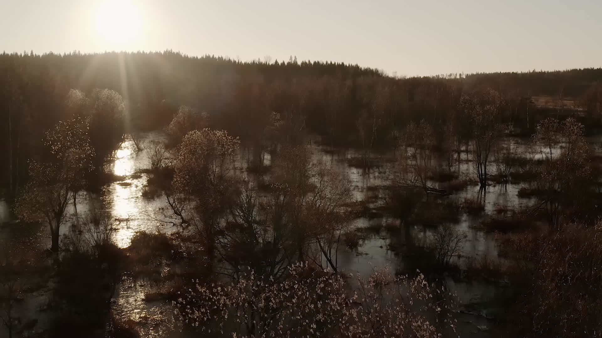 深秋初冬傍晚阳光森林湖水航拍视频的预览图