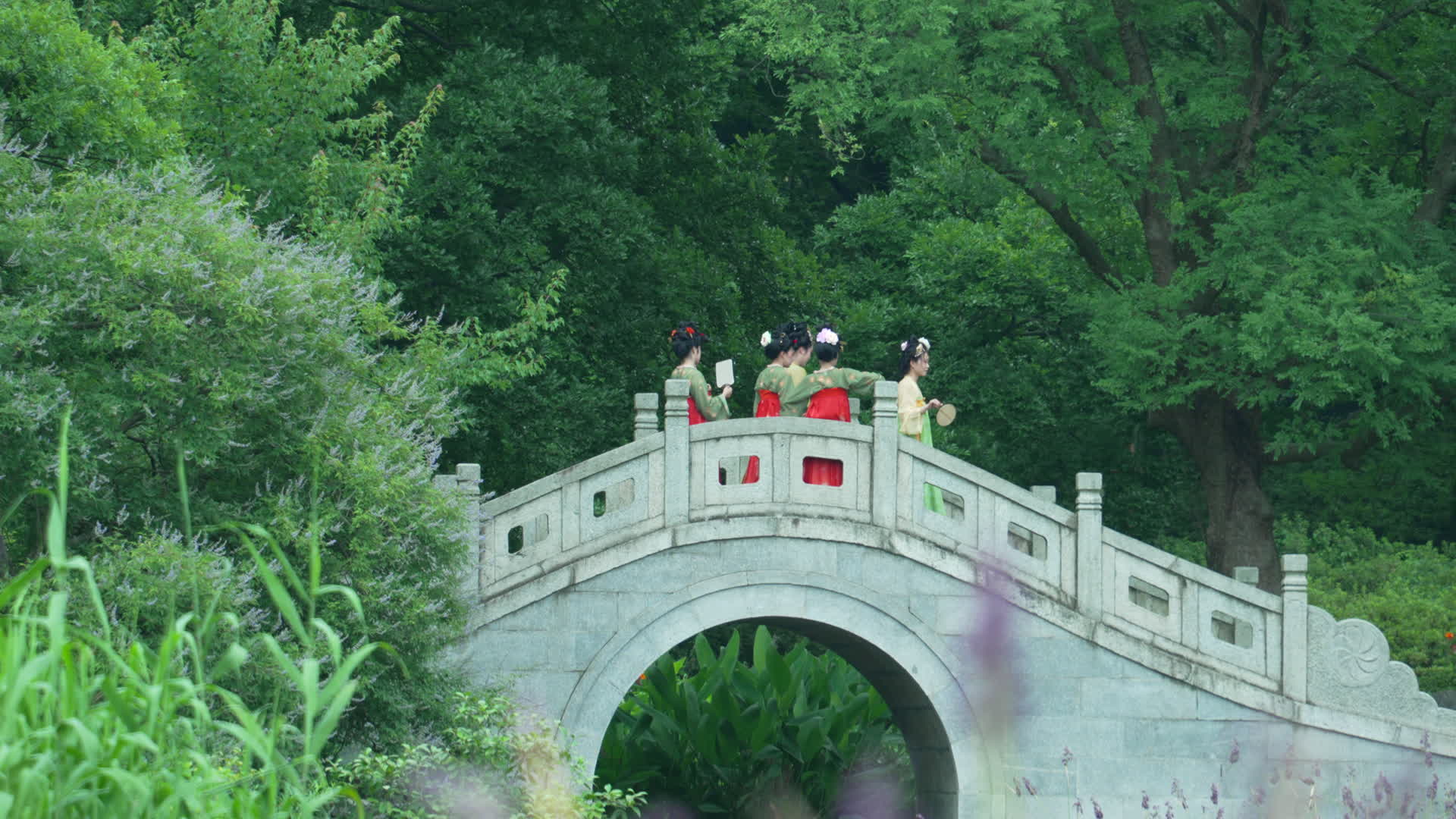 武汉东湖磨山景区盆景园荷花视频的预览图