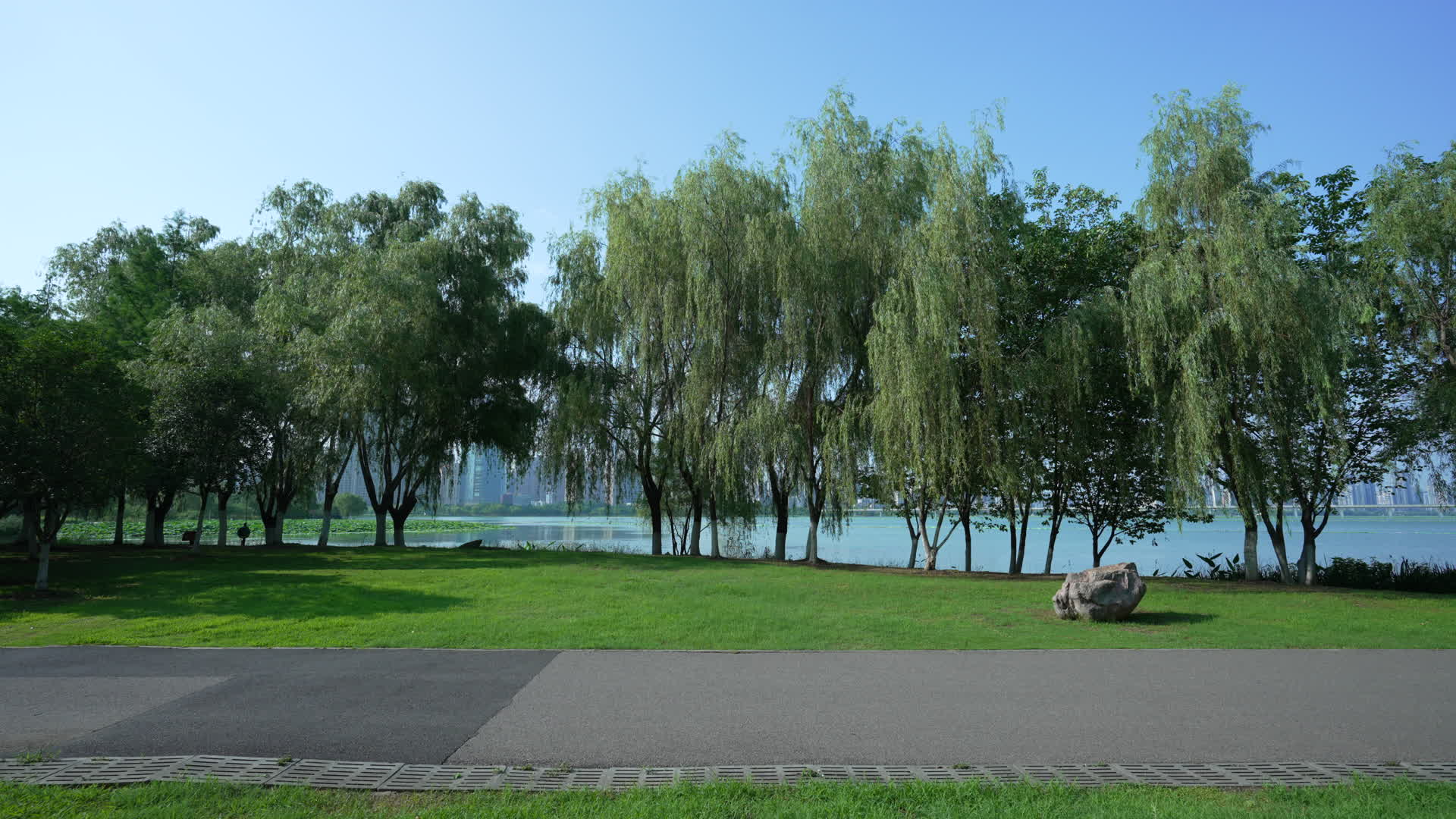 武汉武昌区沙湖公园视频的预览图