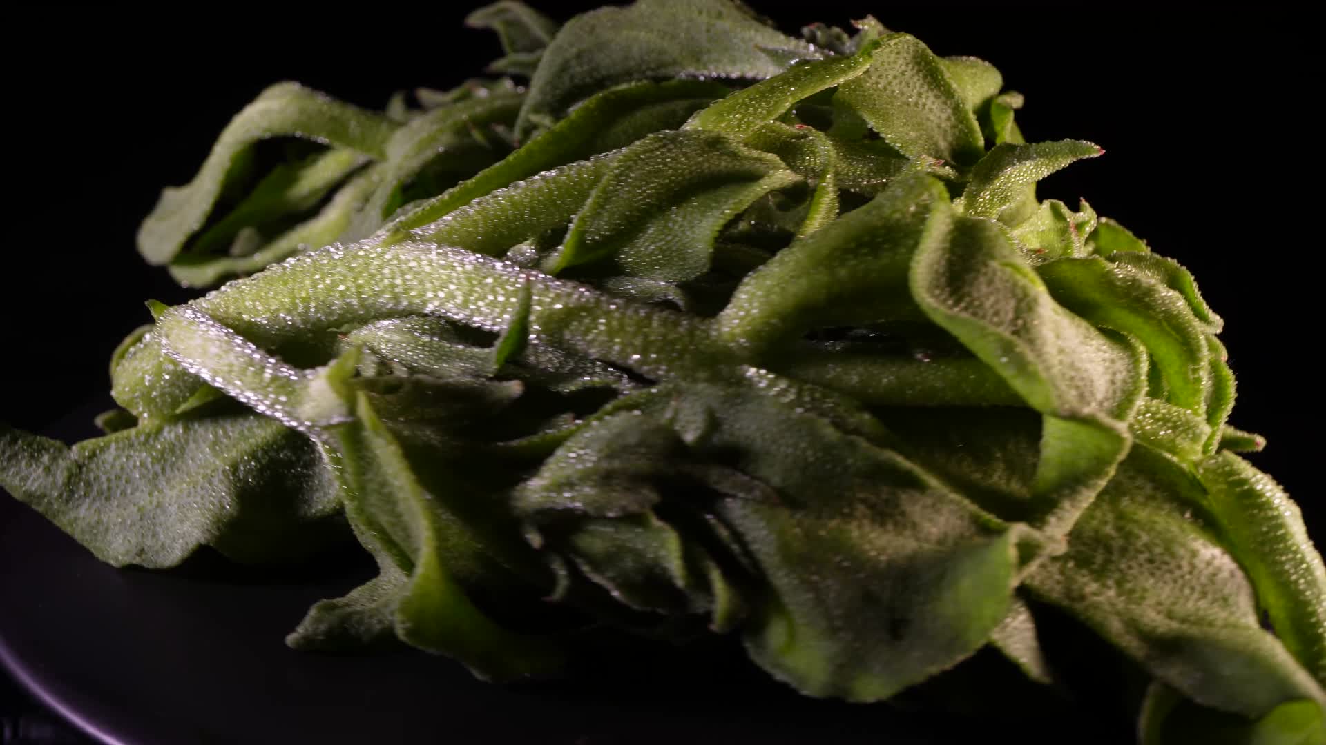 冰草蔬菜食材健康视频的预览图