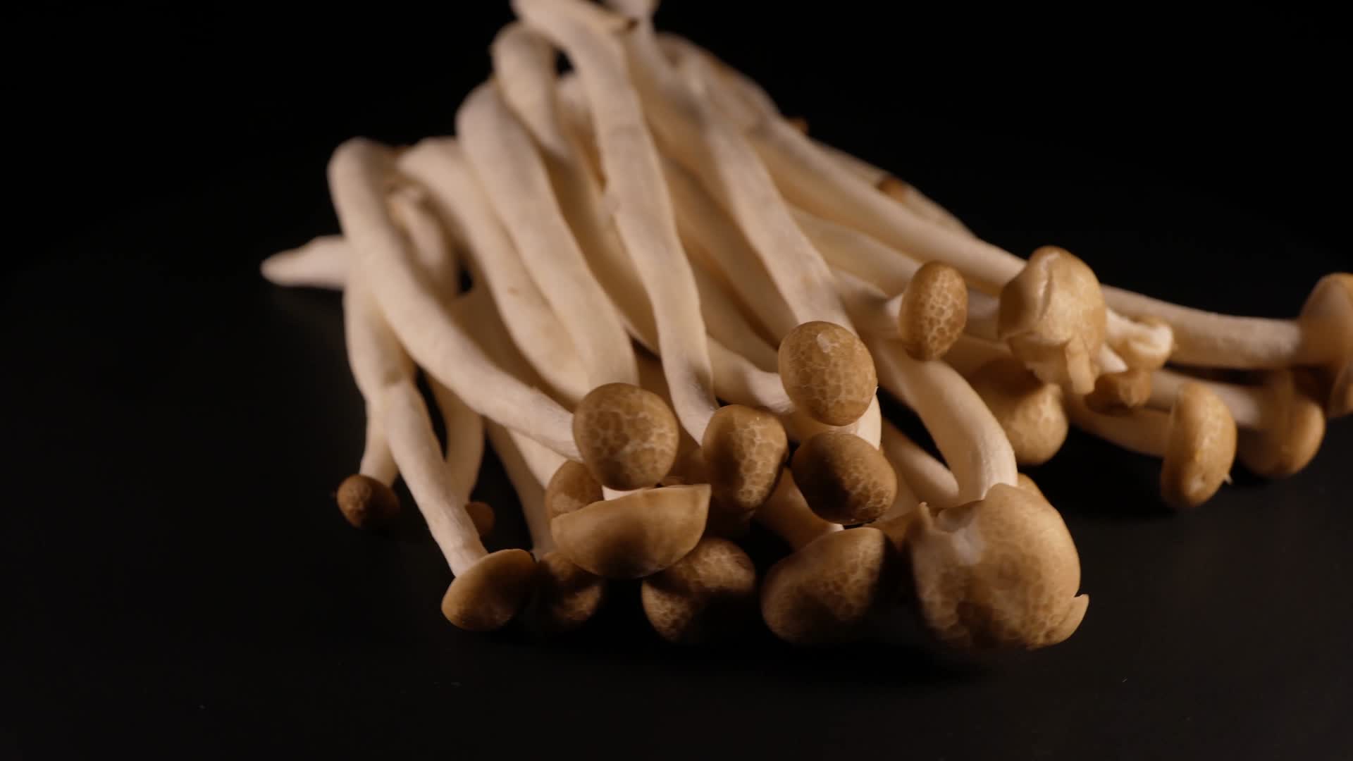 海鲜菇白玉菇视频的预览图