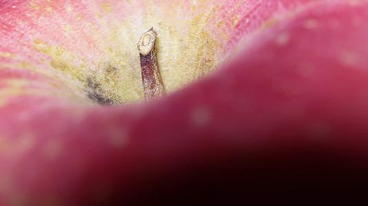 红富士苹果水果健康视频的预览图