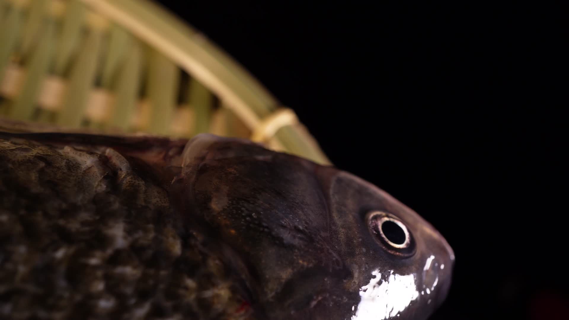 鲫鱼鱼类河鲜鱼肉视频的预览图