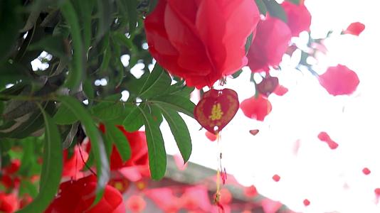 树上挂红花农家喜事视频的预览图