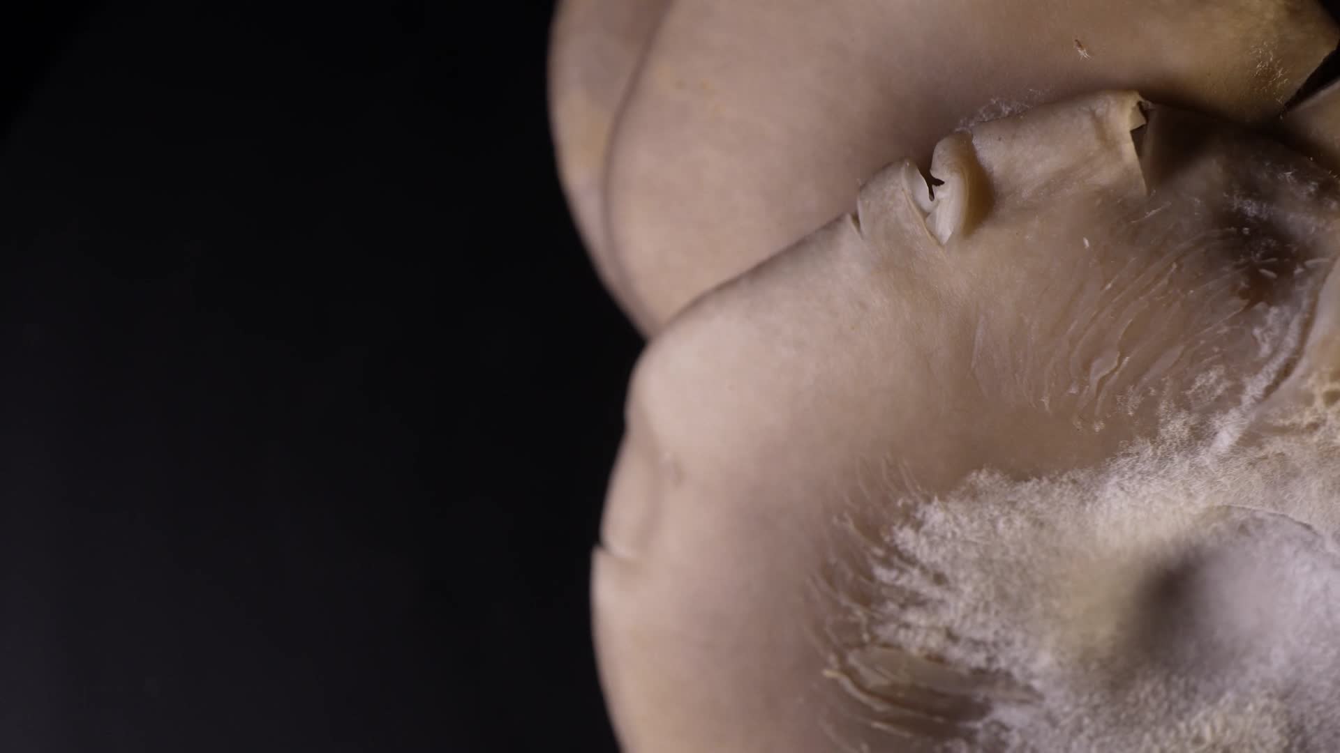 平菇蘑菇食用菌视频的预览图