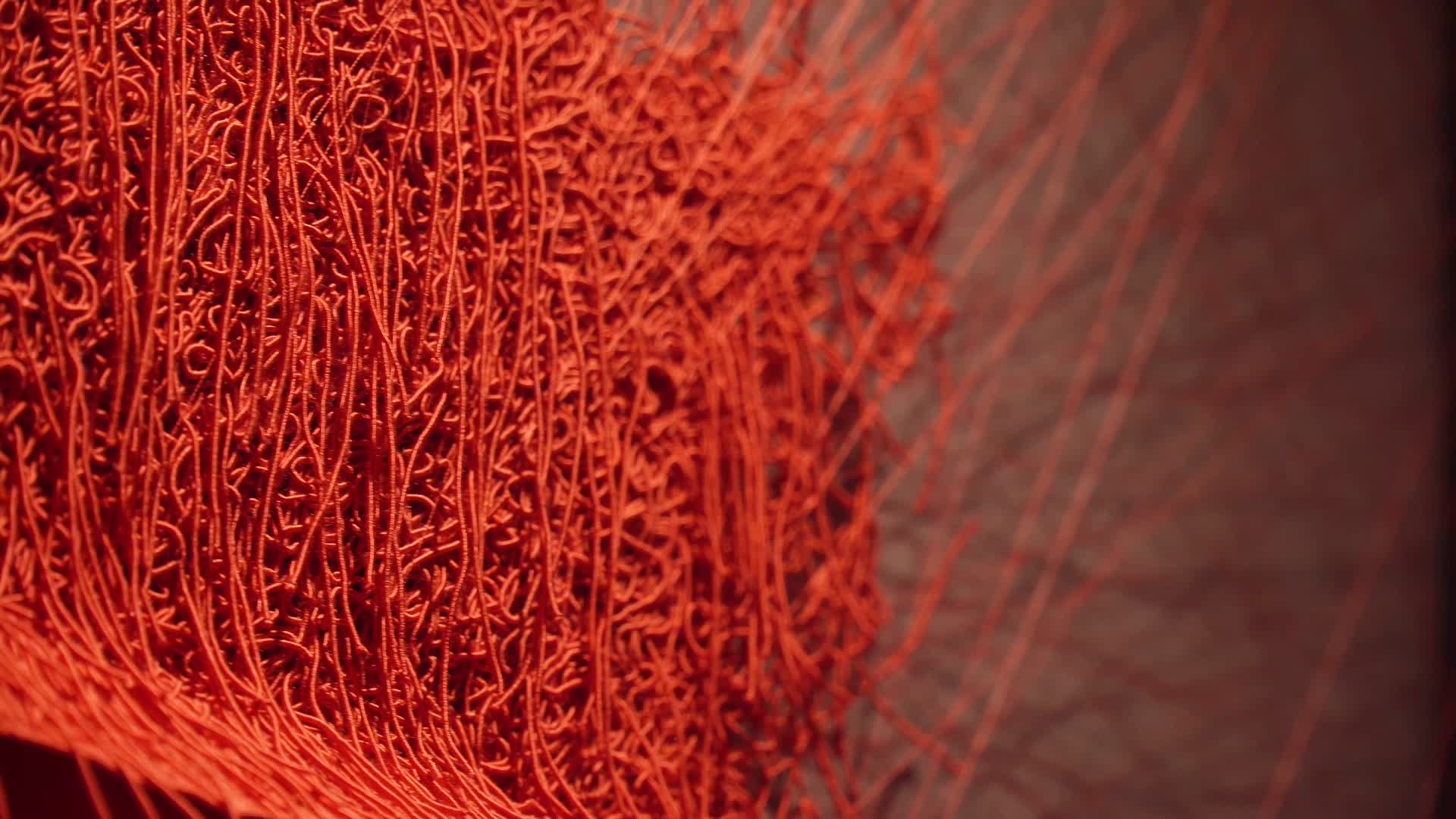 红色刺绣纤维视频的预览图
