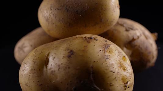 土豆马铃薯粗粮视频的预览图