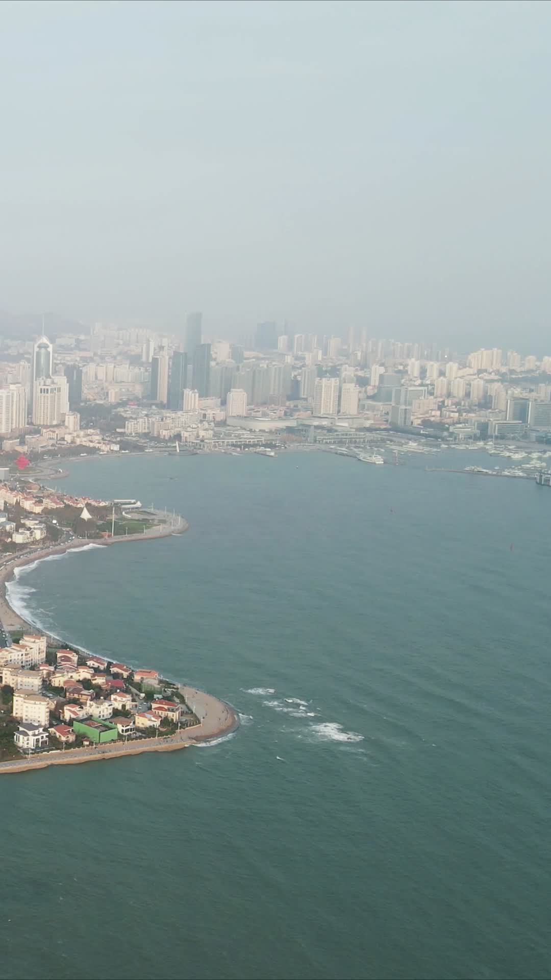城市航拍青岛海岸线竖屏航拍视频的预览图