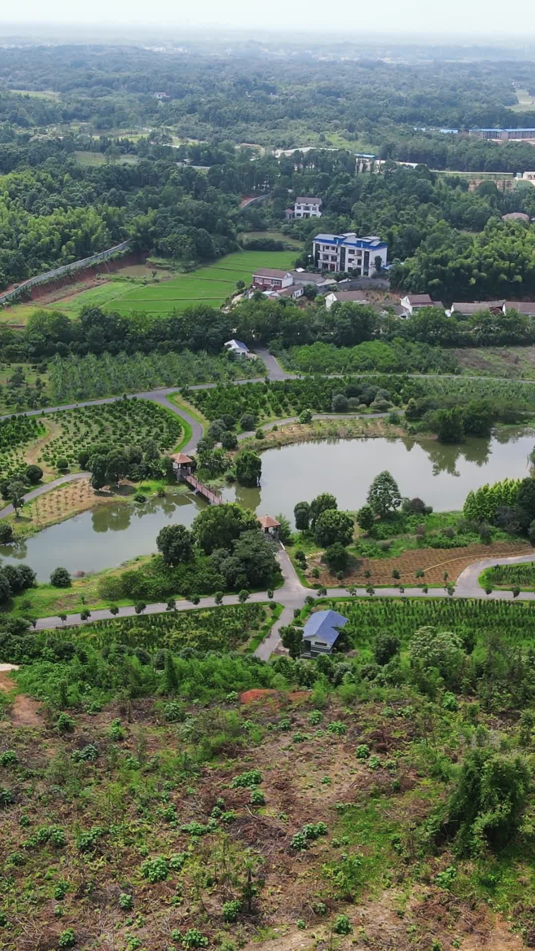 湖南汉寿植物园竖屏航拍视频的预览图