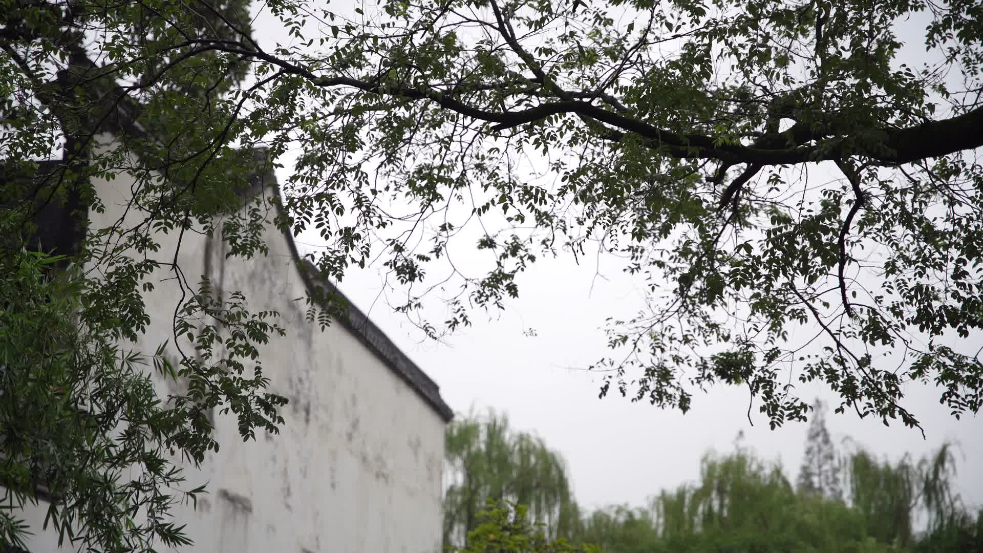 湖州南浔古镇张石铭旧宅视频的预览图