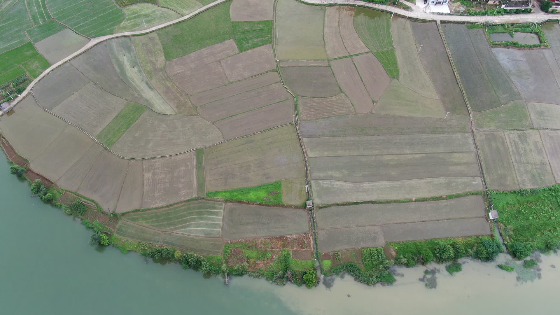 乡村田园农业农田种植视频的预览图
