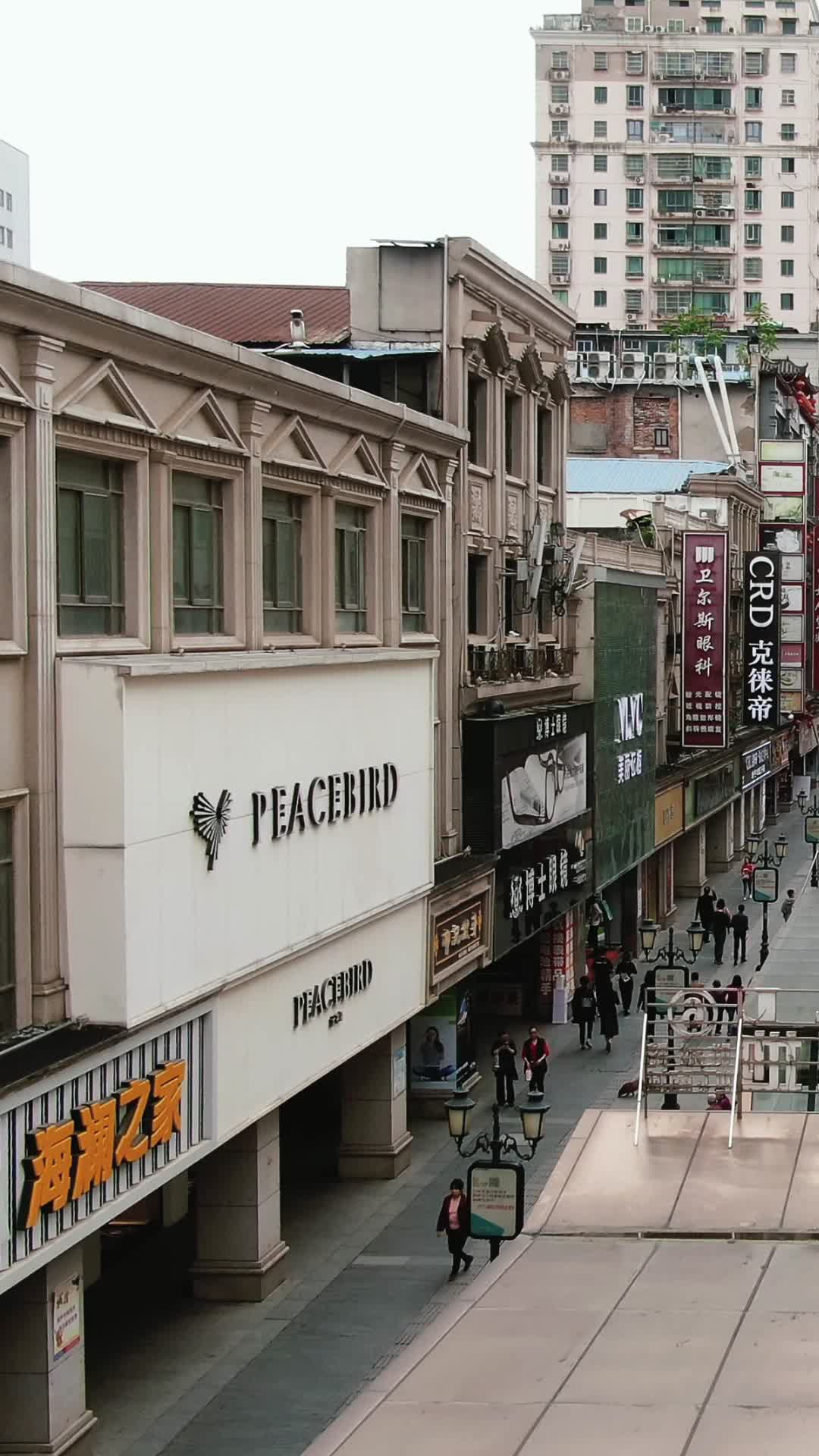 城市航拍江西南昌胜利路步行街竖屏视频的预览图