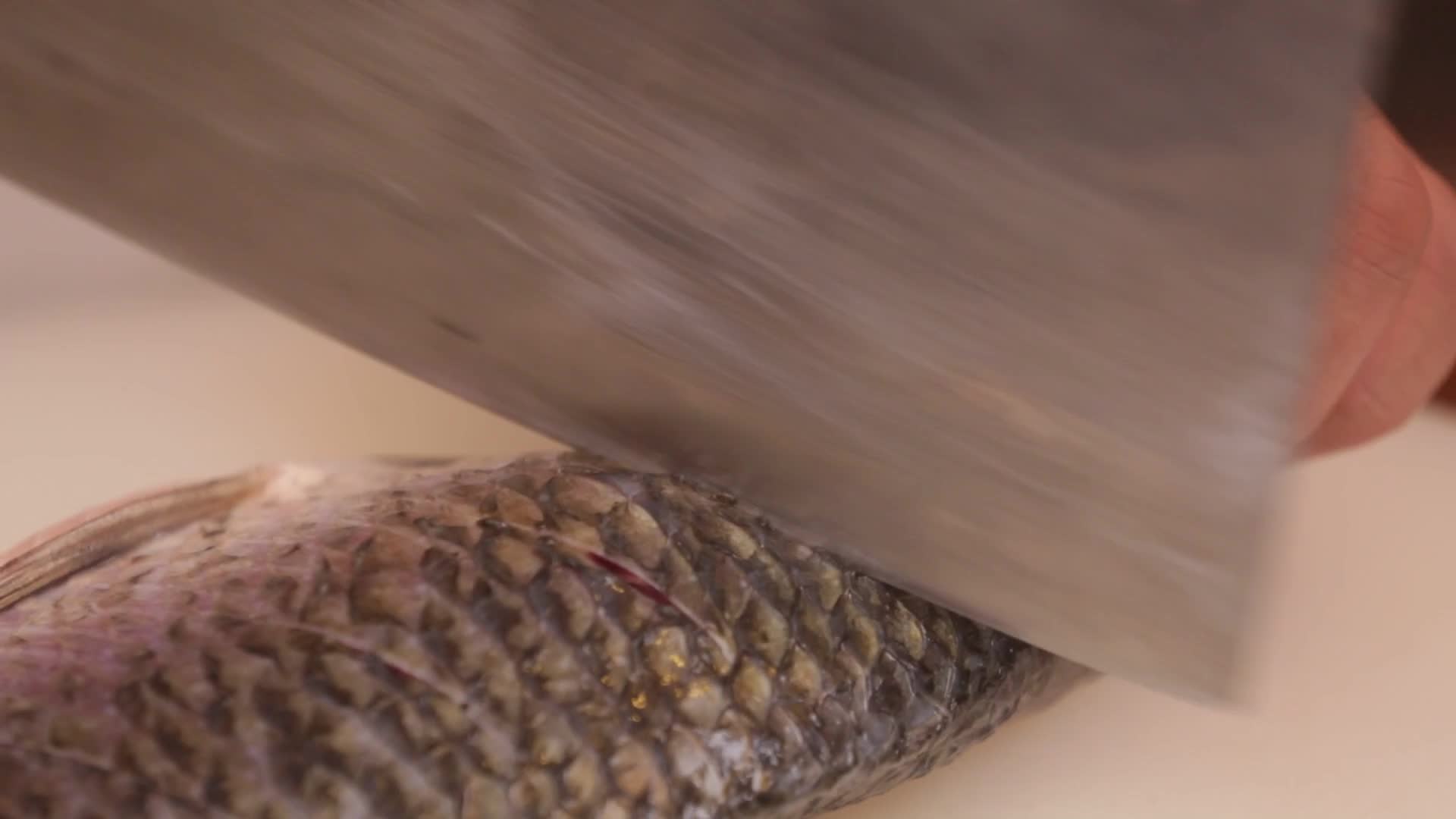镜头合集鲫鱼去黏膜去腥打花刀视频的预览图