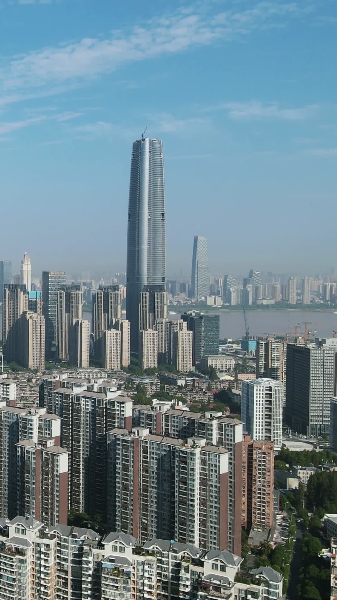城市航拍武汉地表绿地中心竖屏视频的预览图