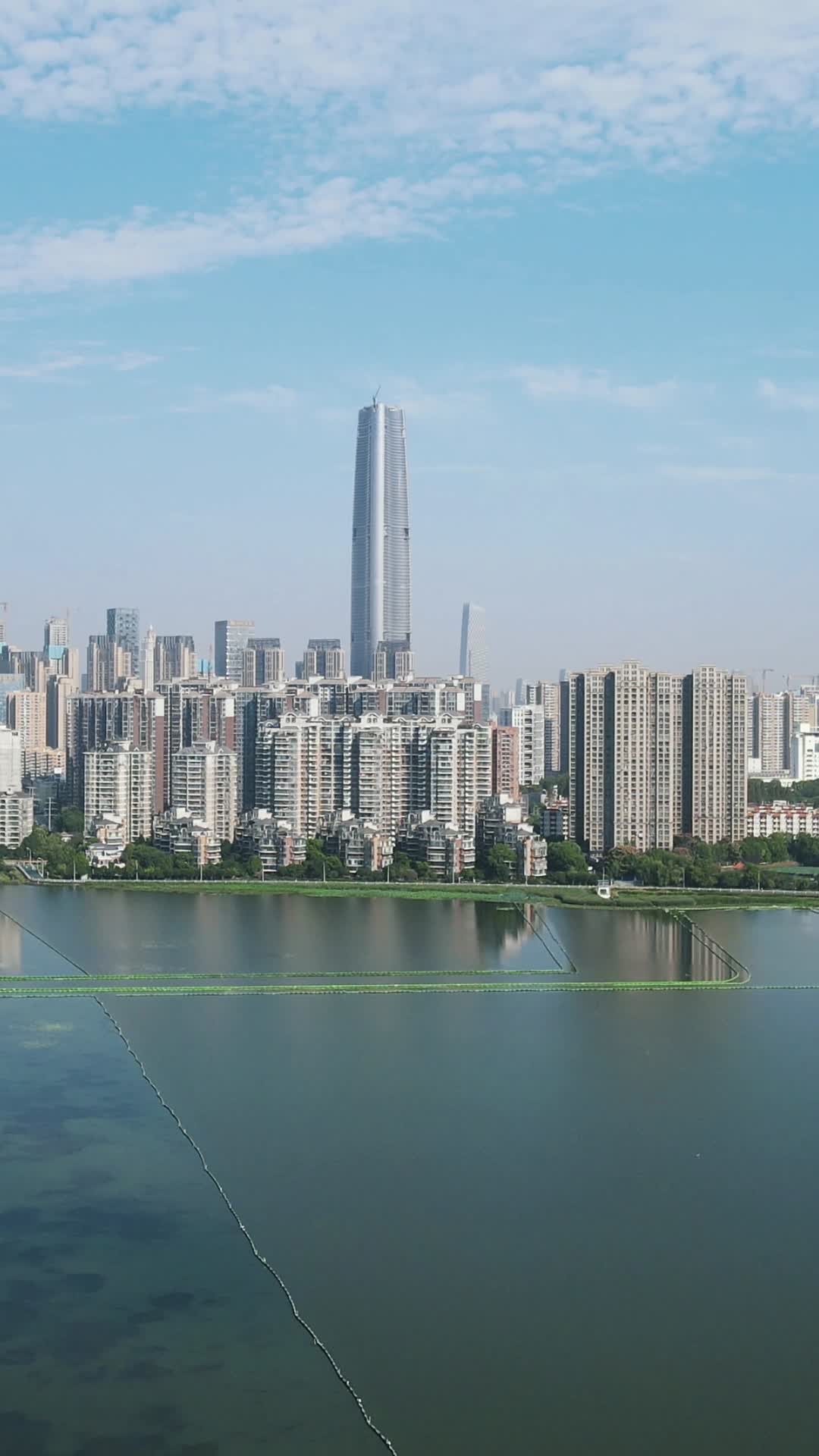 城市航拍武汉地表绿地中心竖屏视频的预览图