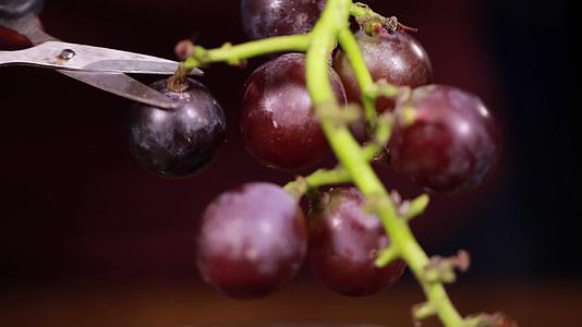 镜头合集微距葡萄杆葡萄串视频的预览图