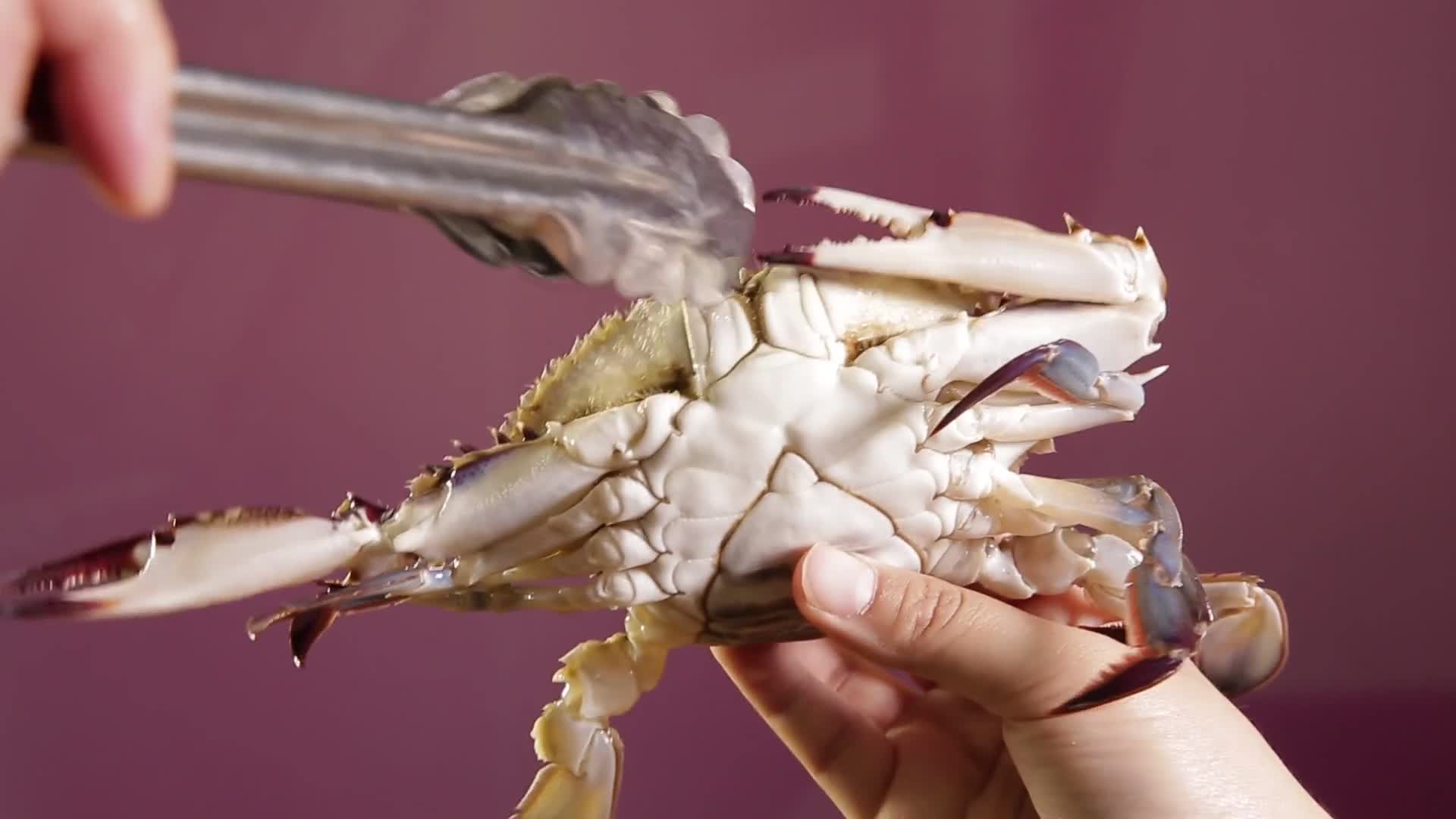 镜头合集鲜活海蟹螃蟹视频的预览图