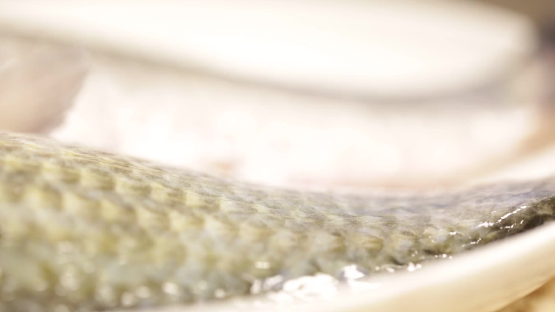 镜头合集鱼鳞鱼表面黏膜视频的预览图