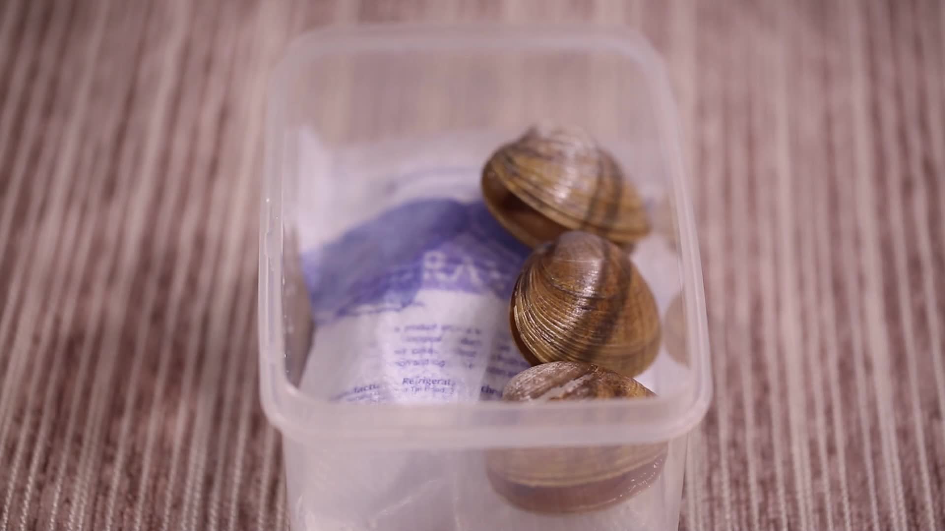 镜头合集一次性饭盒冰袋储存花蛤视频的预览图