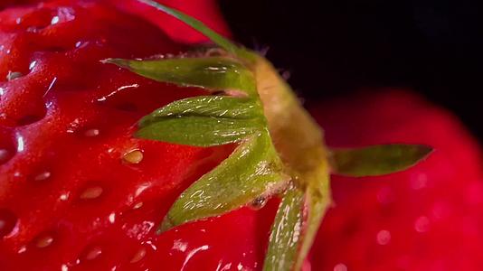 镜头合集新鲜水果冬季草莓视频的预览图