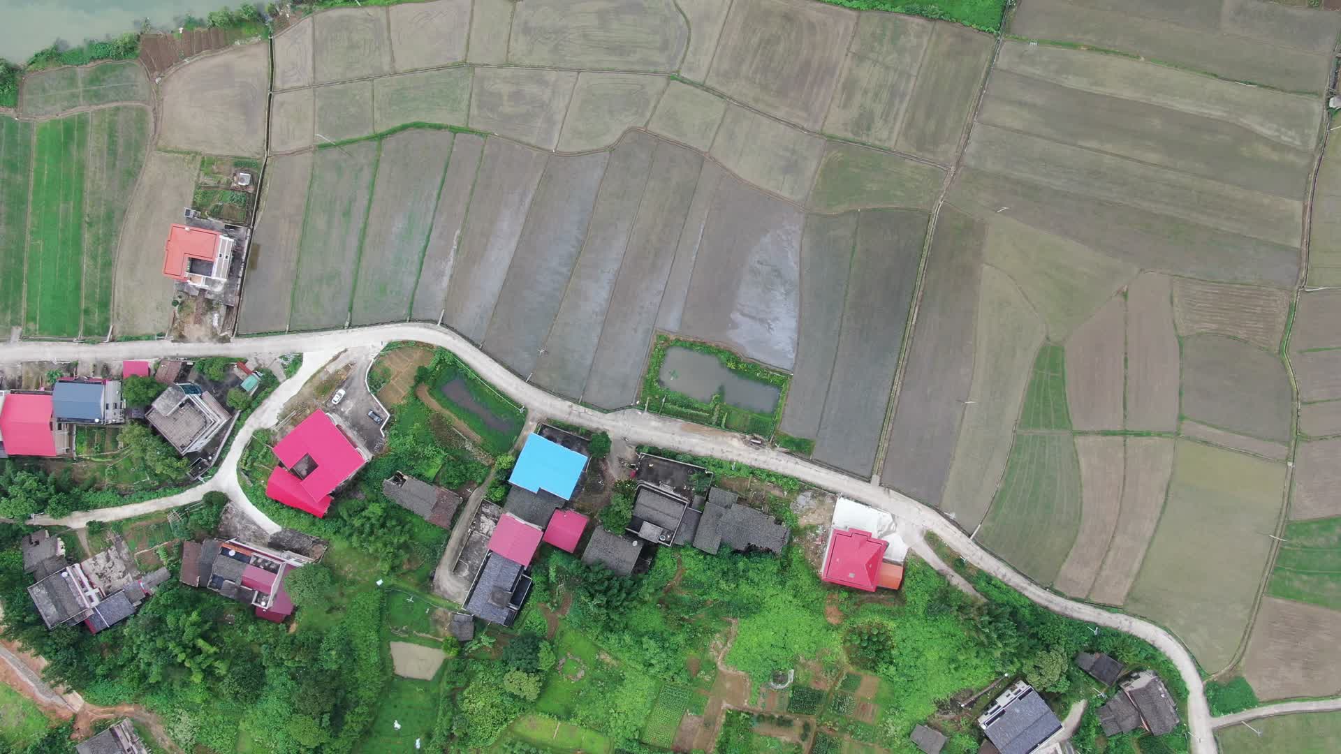航拍农业种植稻田水稻视频的预览图