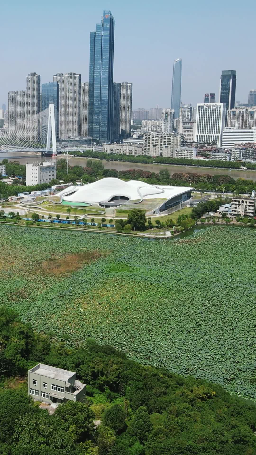 城市航拍武汉琴台文化艺术中心视频的预览图