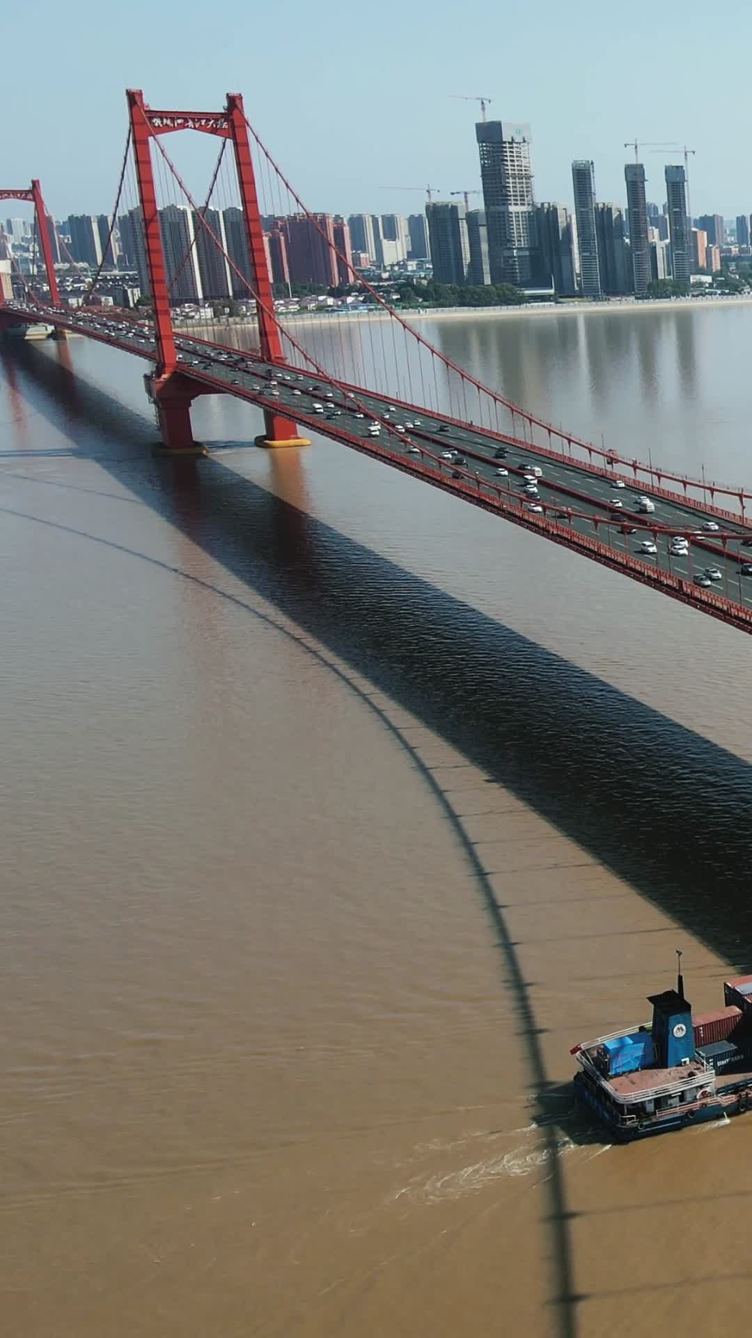 城市航拍武汉鹦鹉洲长江大桥竖屏航拍视频的预览图