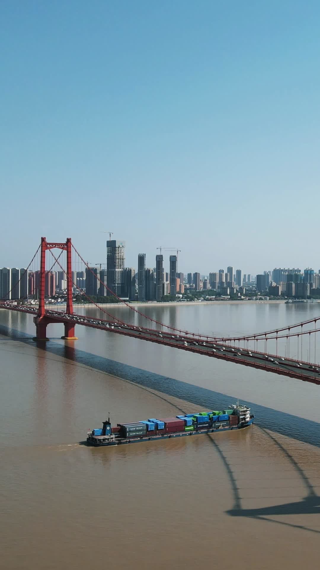 城市航拍武汉鹦鹉洲长江大桥竖屏航拍视频的预览图