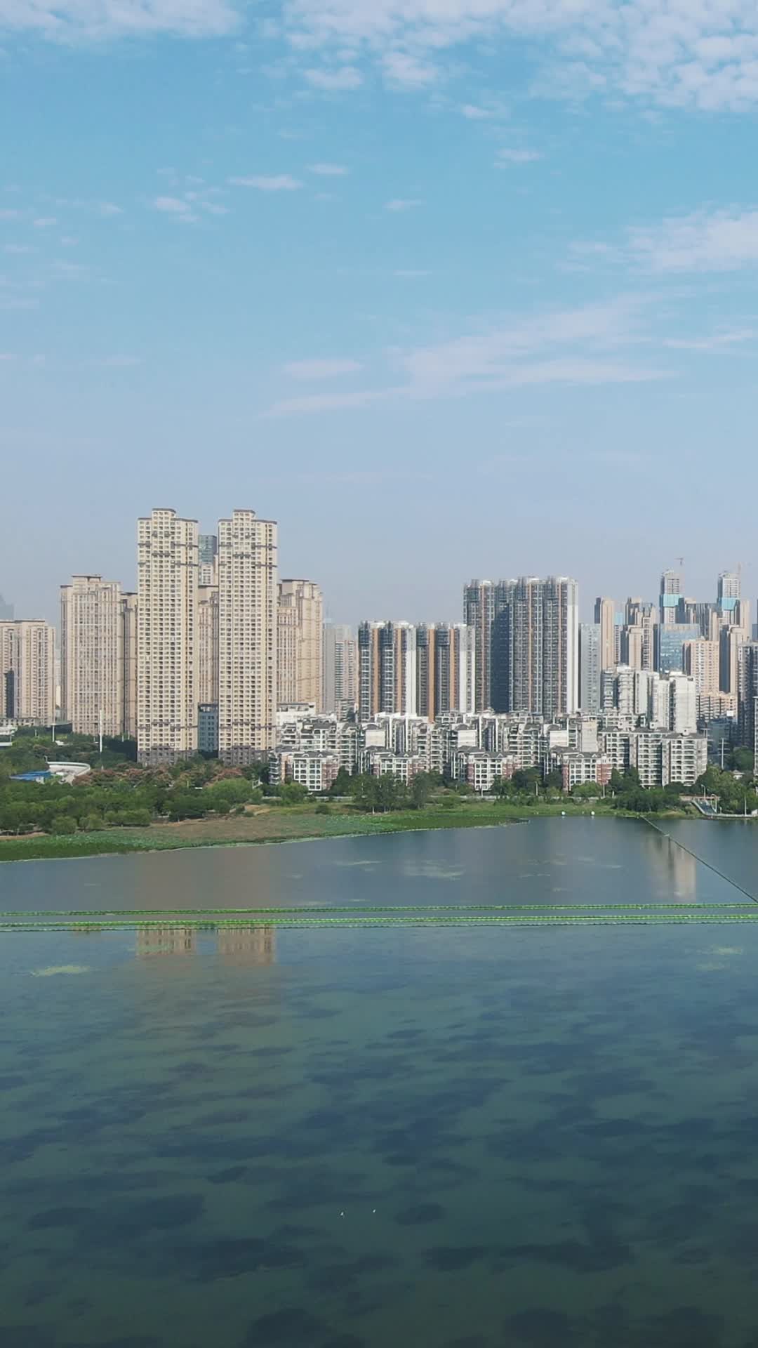城市航拍武汉沙湖高楼建筑竖屏视频的预览图
