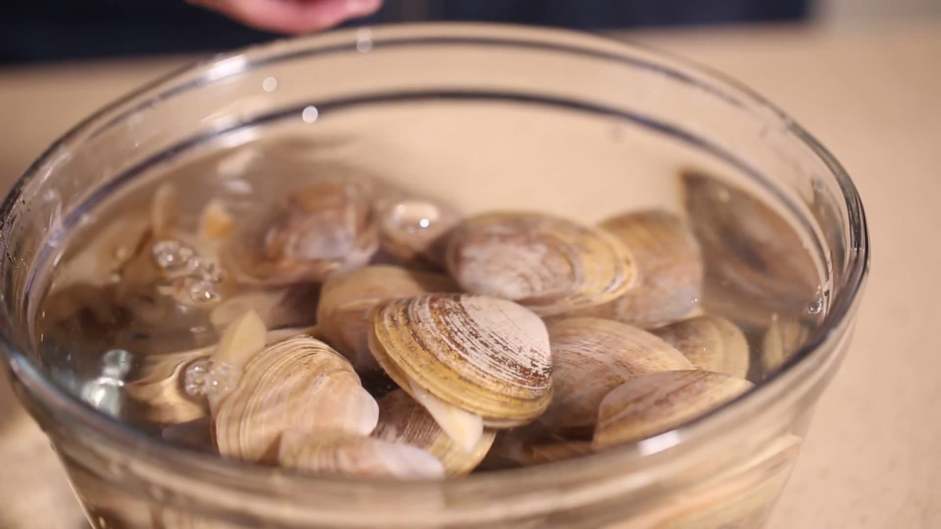 镜头合集花蛤蛤蜊文蛤视频的预览图