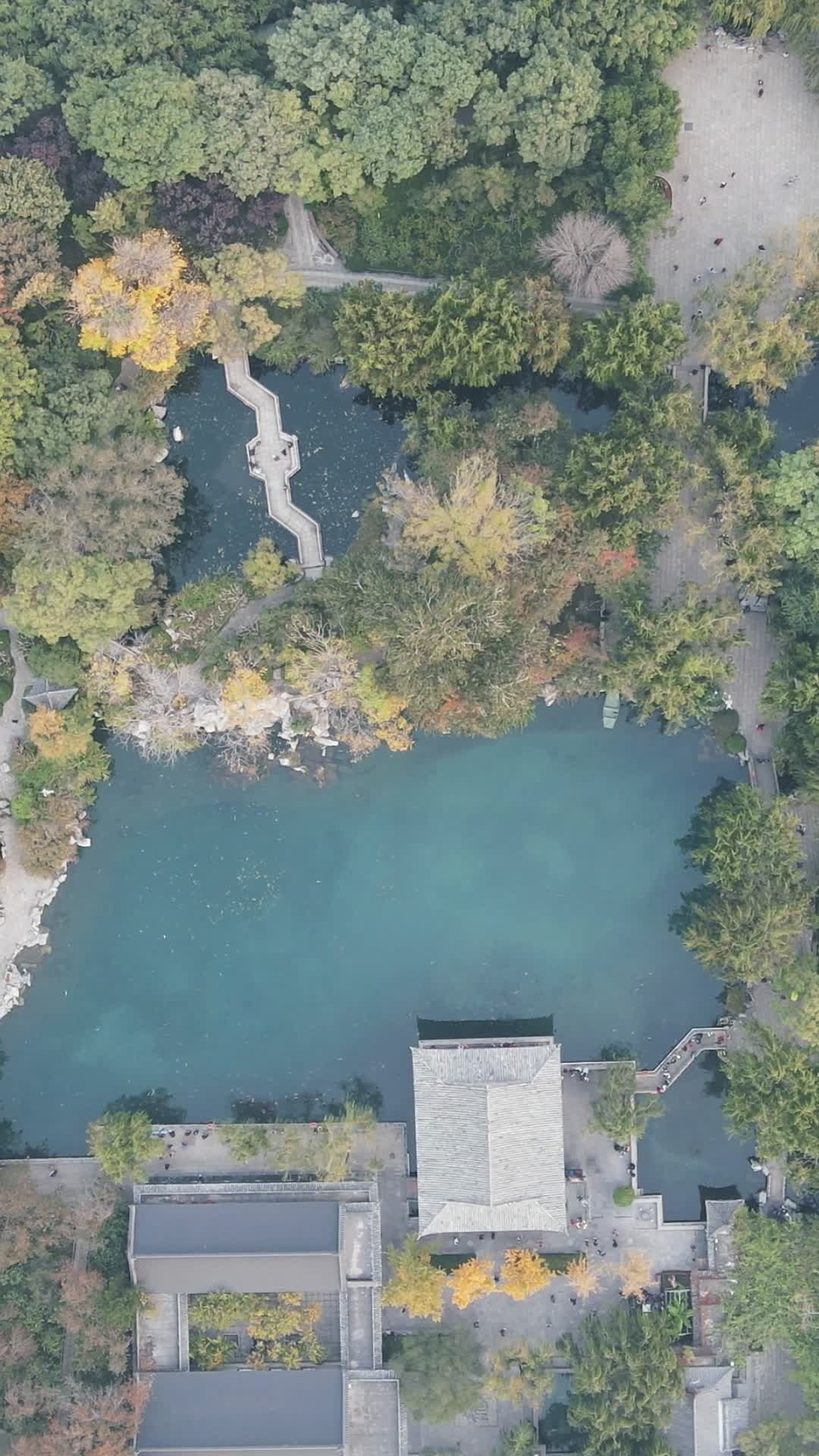 济南护城河风景竖屏航拍视频的预览图
