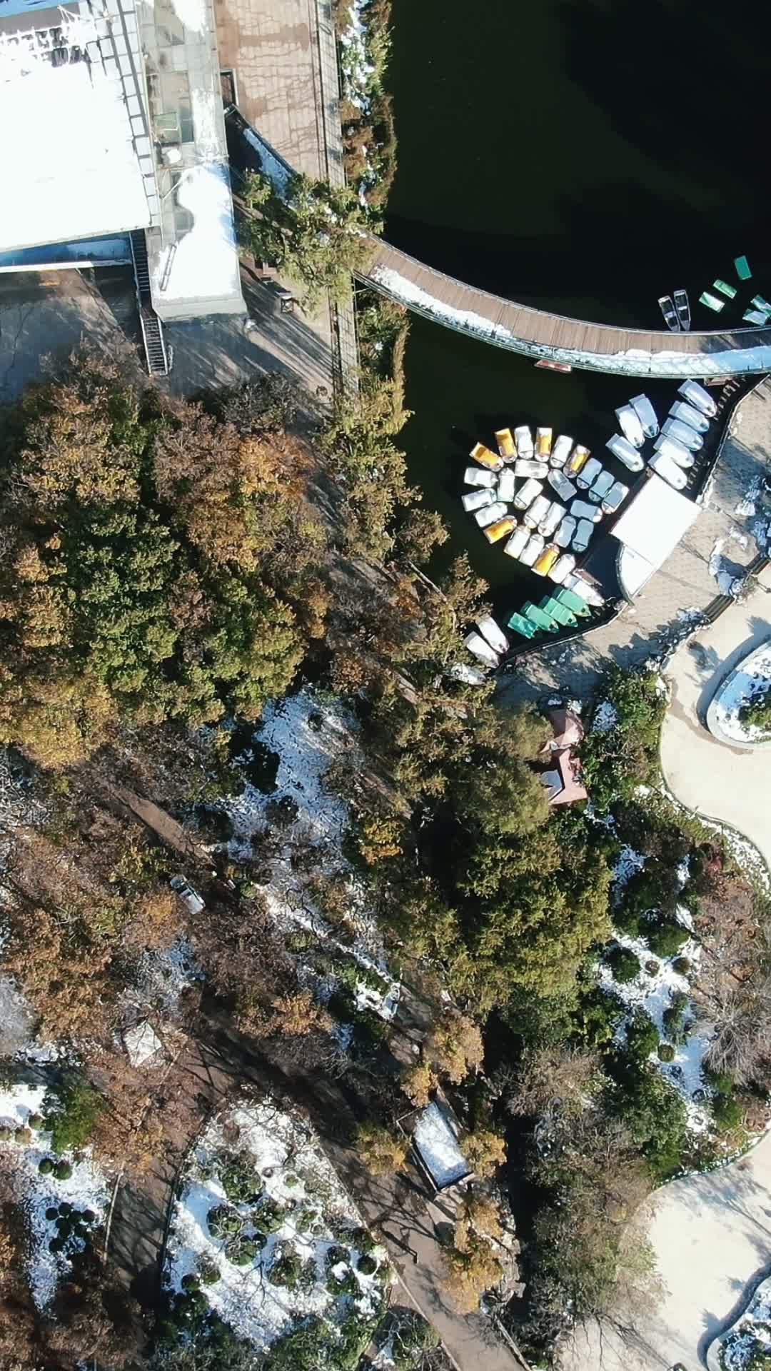 济南泉城公园雪景竖屏航拍视频的预览图