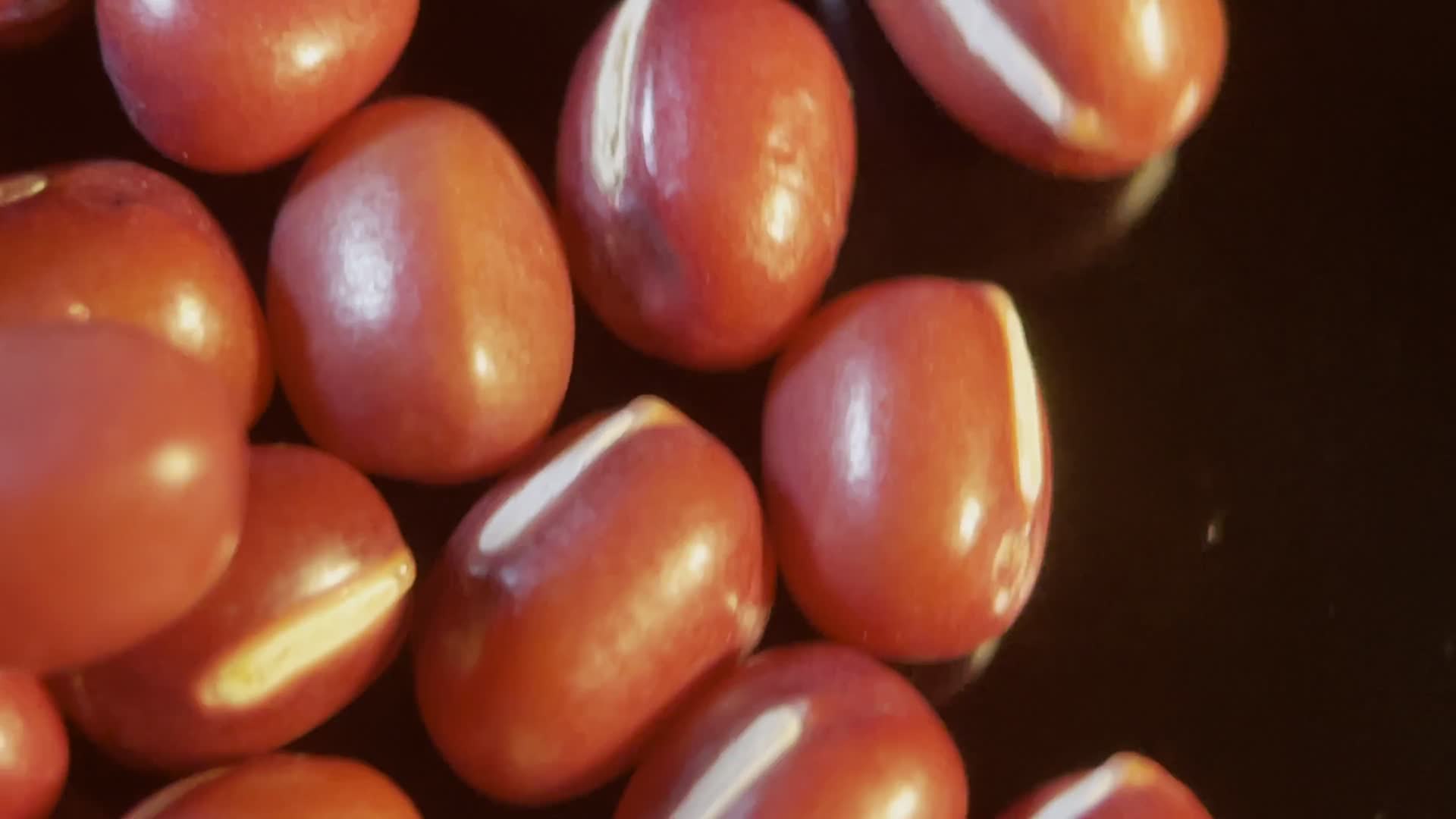 镜头合集微距红豆赤小豆粗粮杂粮视频的预览图