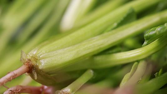 镜头合集膳食纤维绿色蔬菜菠菜视频的预览图