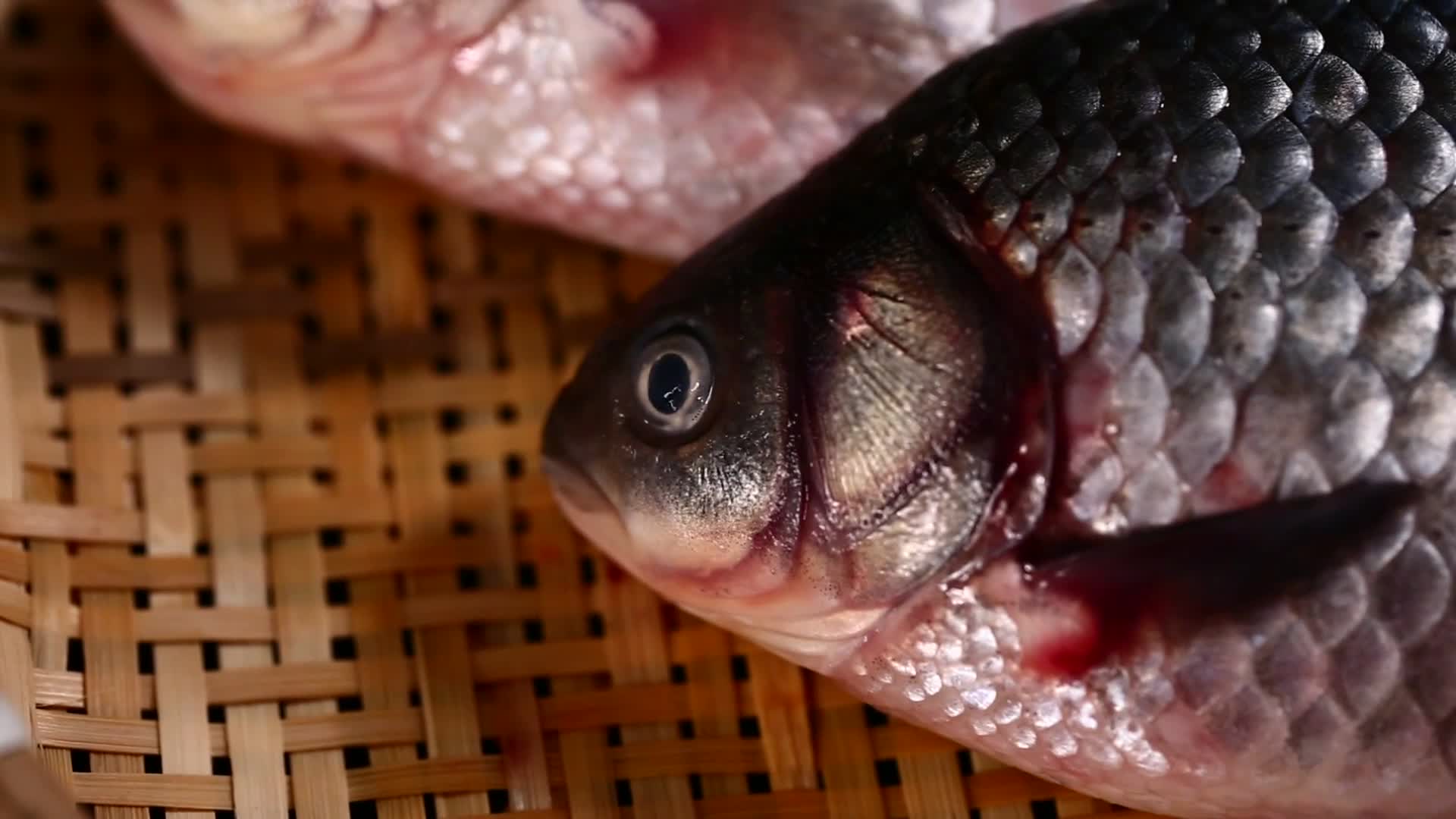 镜头合集鱼鳃鱼眼睛鱼头特写视频的预览图