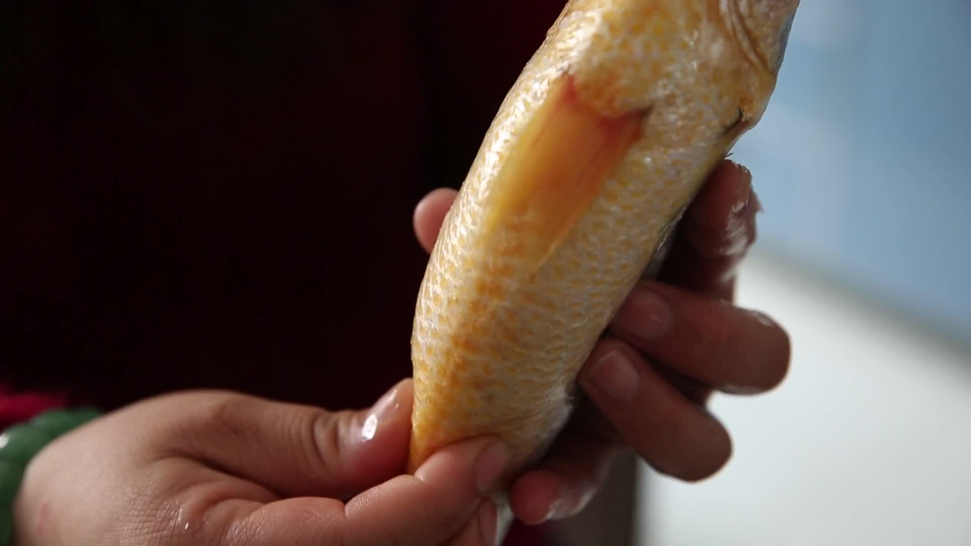 镜头合集主妇买回的黄花鱼视频的预览图