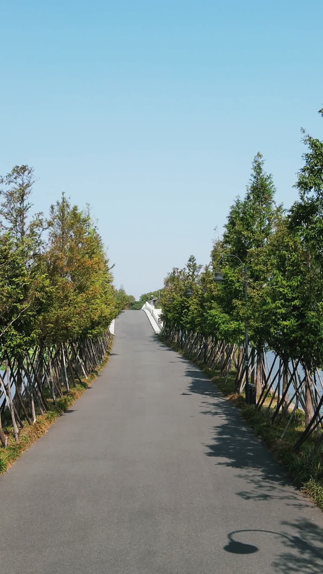 旅游景区武汉东湖唯美道路竖屏视频的预览图