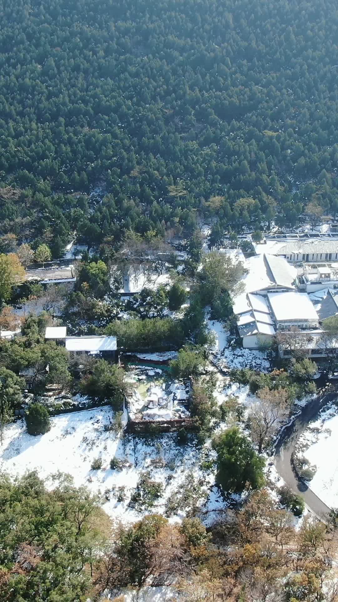 旅游景区济南千佛山冬天雪景竖屏航拍视频的预览图