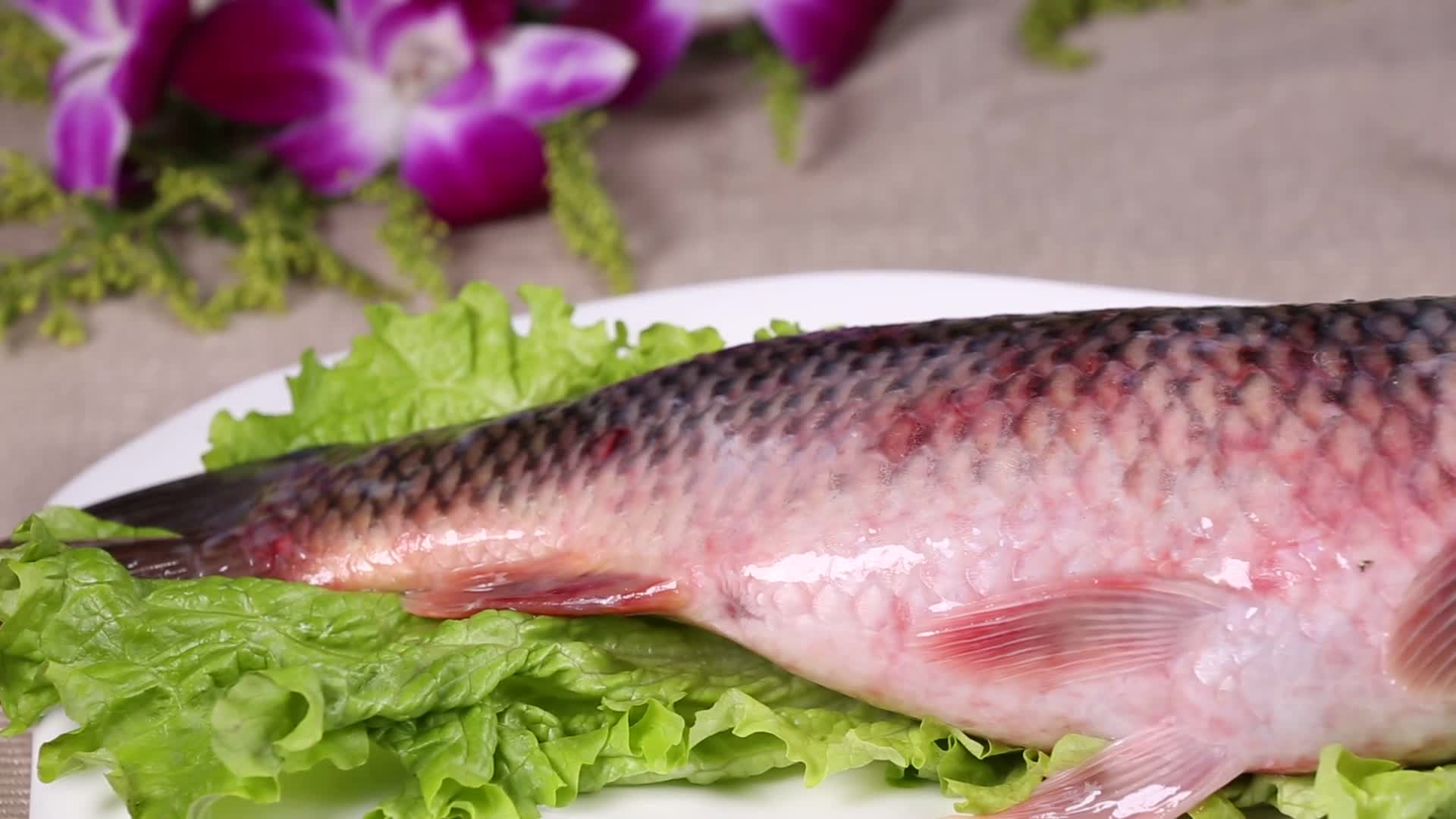 镜头合集草鱼河鲜鱼肉视频的预览图