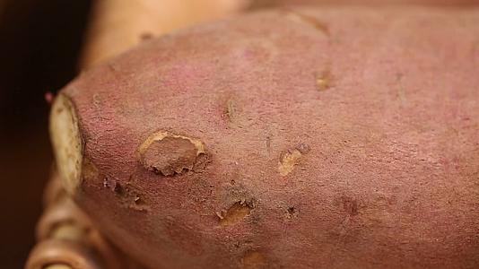 镜头合集地瓜红薯白薯上的黑斑疤痕视频的预览图