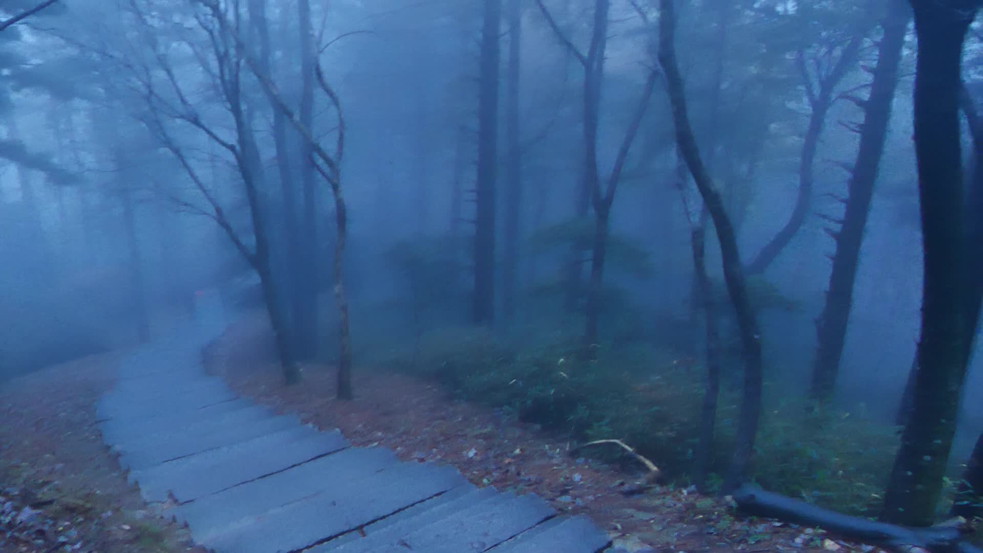 安徽九华山雾气弥漫的森林路视频的预览图