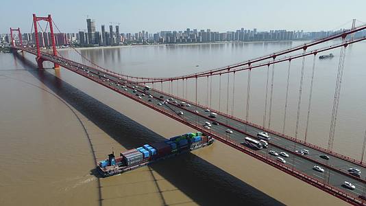 城市航拍武汉长江鹦鹉洲大桥视频的预览图