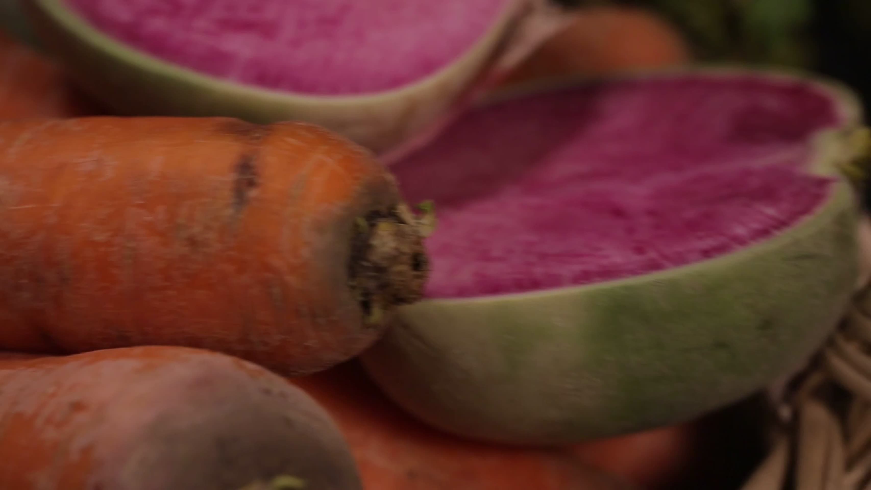 镜头合集胡萝卜水萝卜心里美各种萝卜视频的预览图