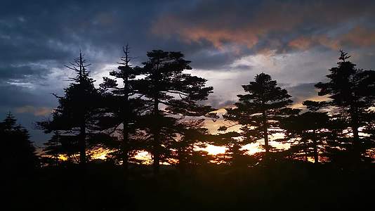 夕阳晚霞火烧云树枝湖北神农架视频的预览图