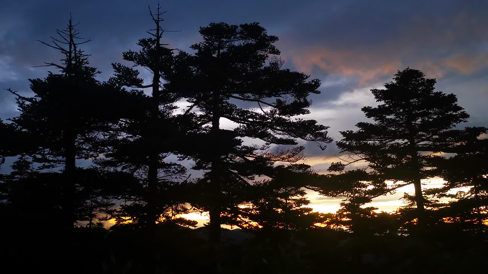 夕阳晚霞火烧云树枝湖北神农架视频的预览图