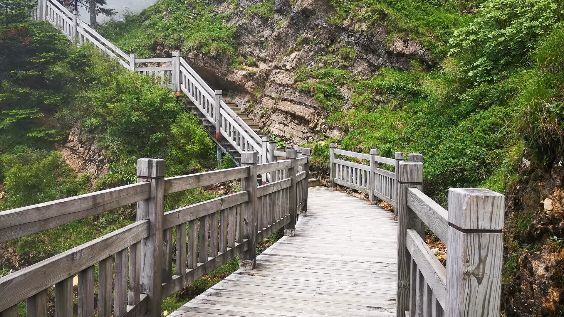 旅游景区湖北神农架神农谷观光步道视频的预览图