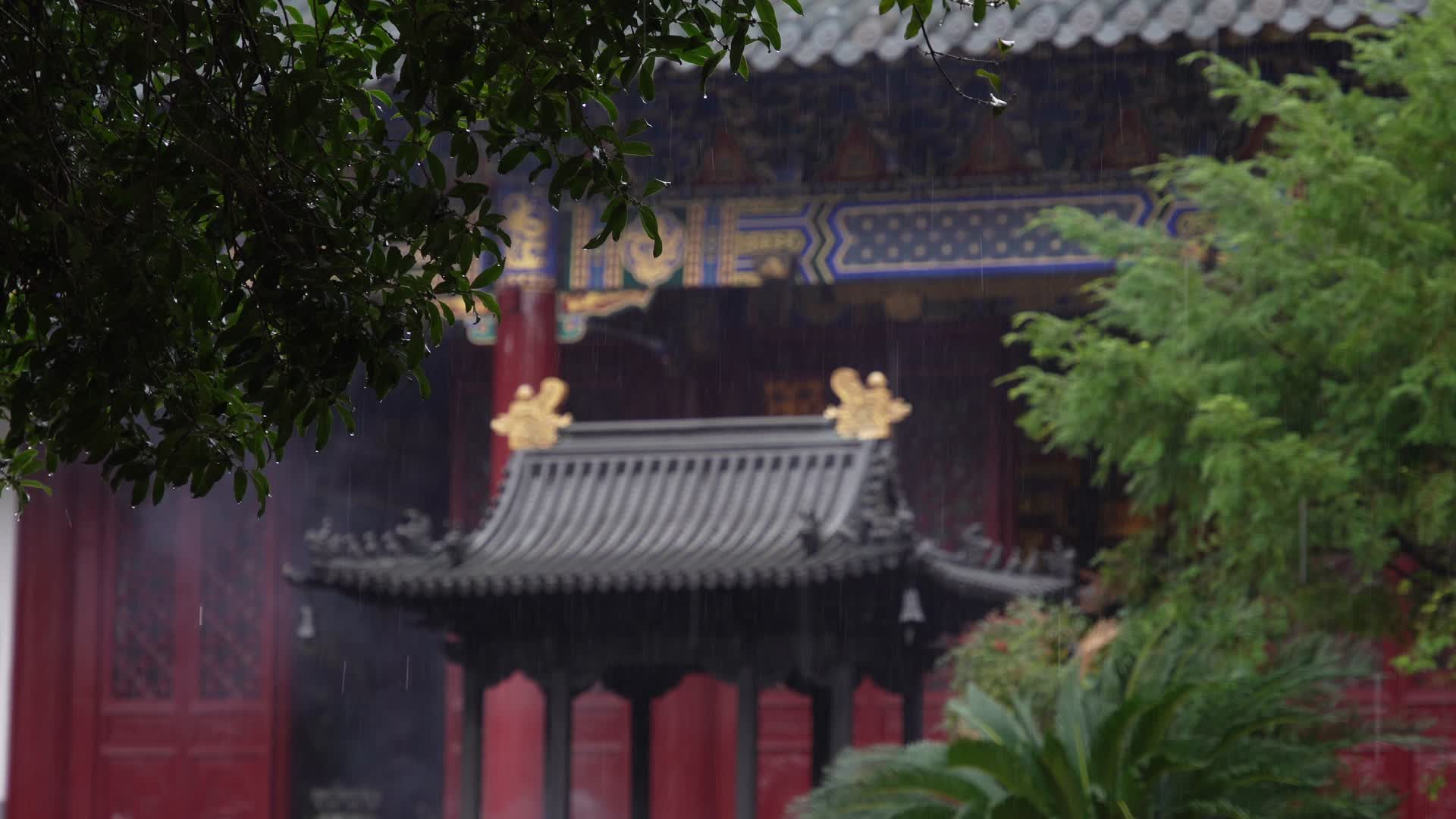 浙江舟山普陀山大乘禅院视频的预览图